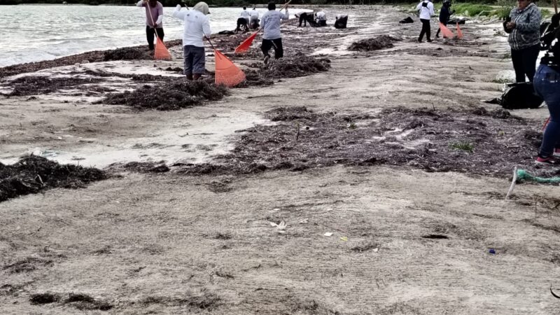 Best fruits for the cold seasons