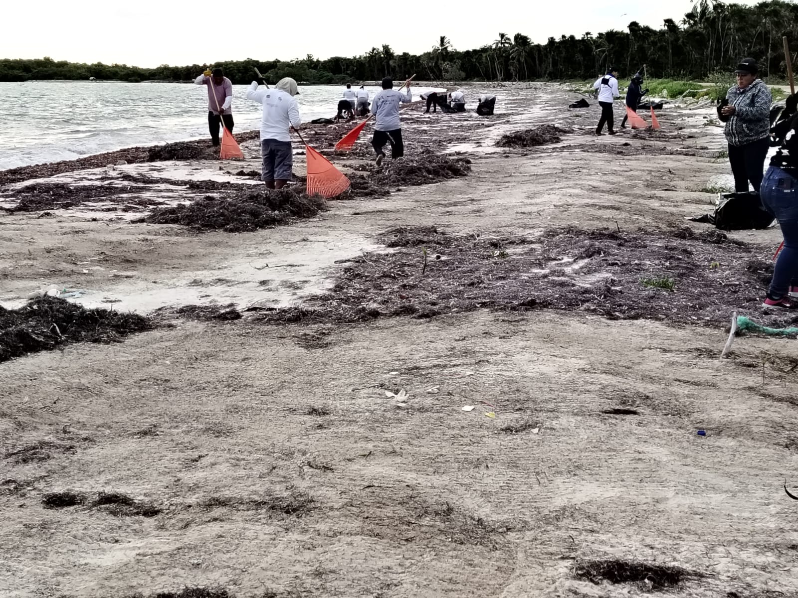 Best fruits for the cold seasons