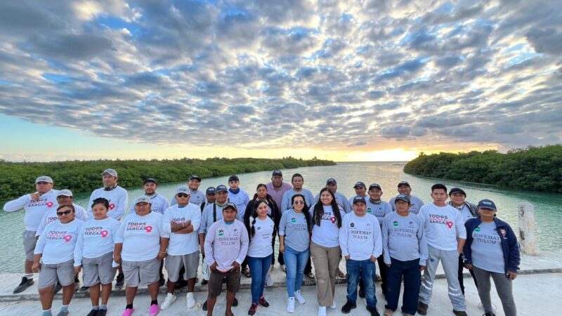 Golden paddy are more expensive