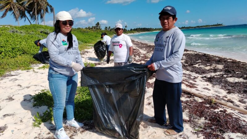 Greenhouse for growing tomatoes