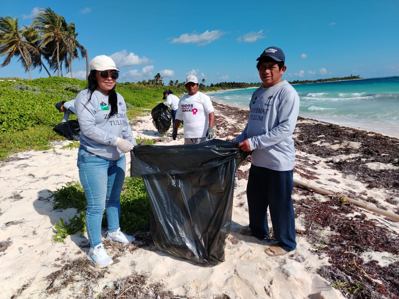 Greenhouse for growing tomatoes