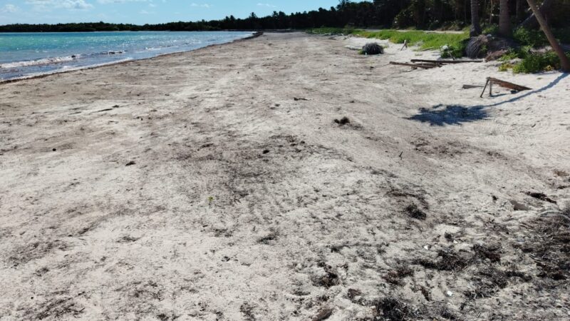 Technologies are gaining trust