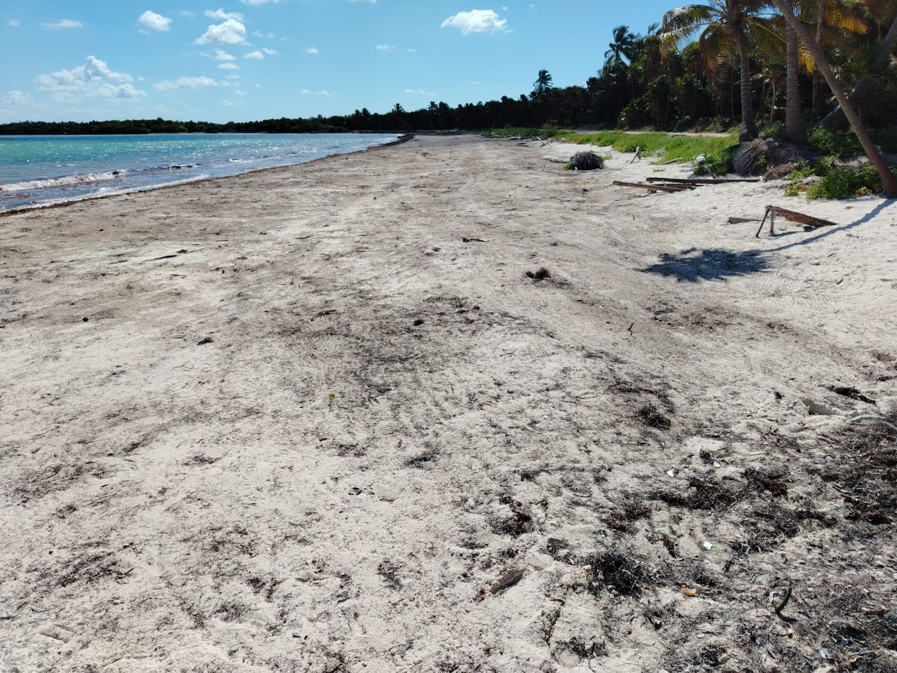 Technologies are gaining trust