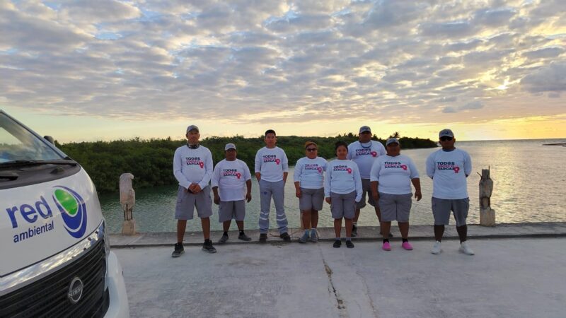 Price of pumpkin has raised rapidly