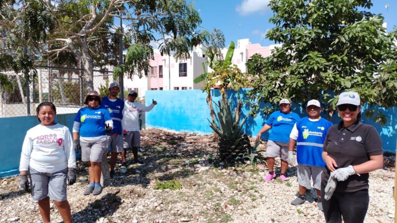 New business plan for next year