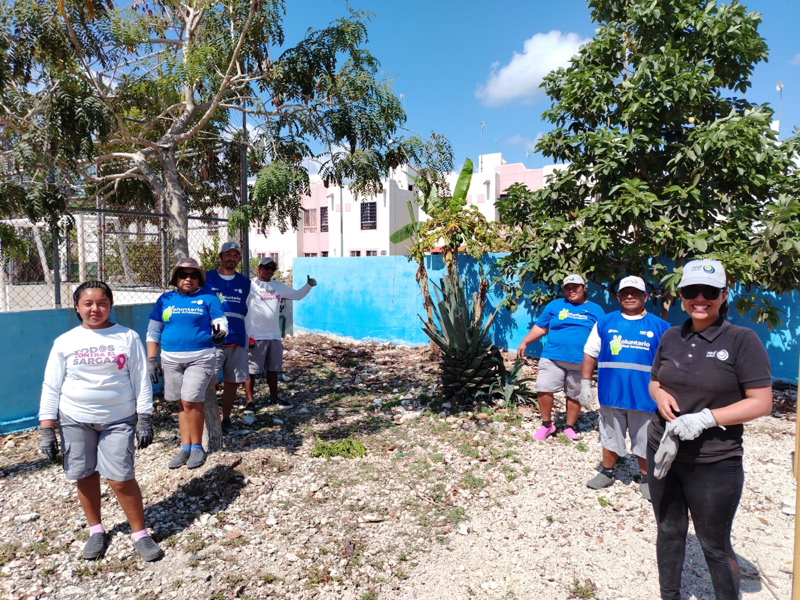 New business plan for next year