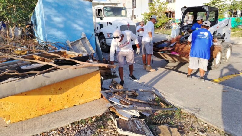 Energetic youths for future business