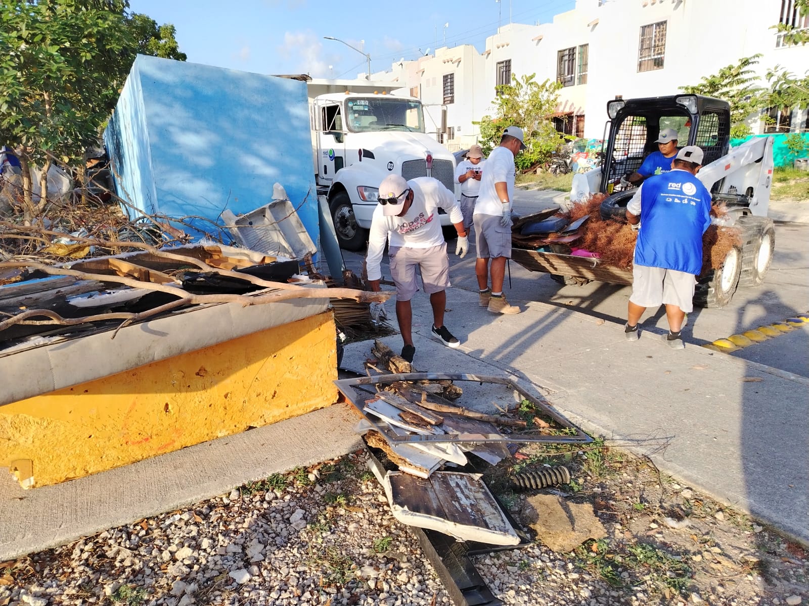 Energetic youths for future business