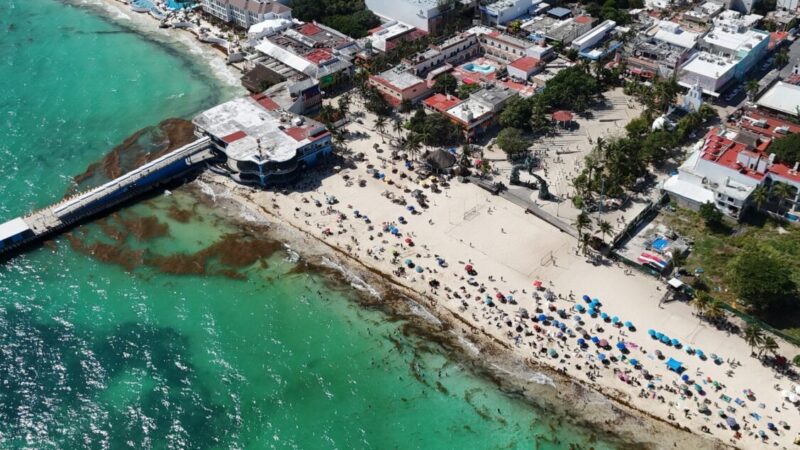 Activa Playa del Carmen estrategia integral contra el sargazo.