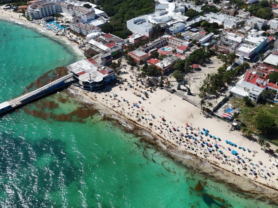 Activa Playa del Carmen estrategia integral contra el sargazo.